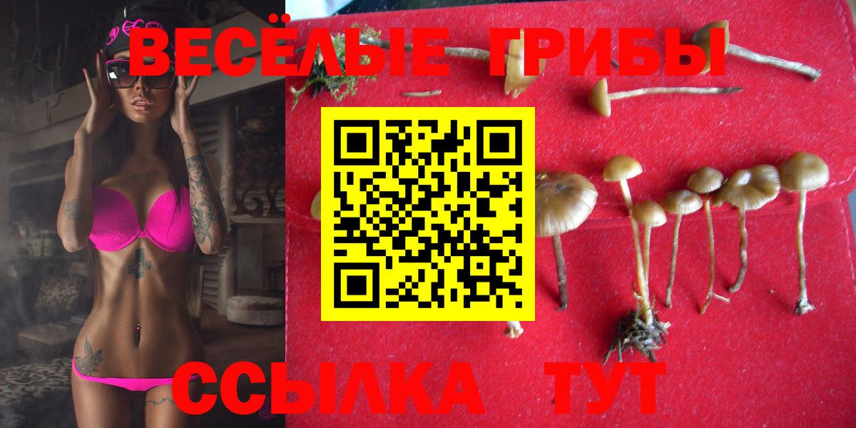 Галлюциногенные грибы Psilocybine cubensis  Галлюциногенные грибы прущие грибы  Чебоксары  Вход с VPN 